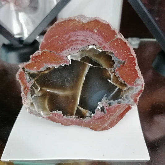 Ágata Thunderegg Chihuahua
