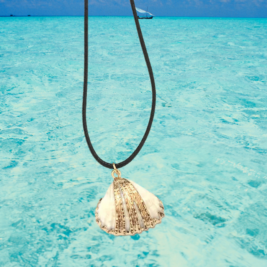 Collar Cuerda Cuero Dije Concha Mar
