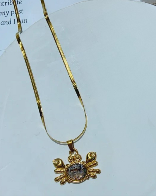 Collar Cadena Plateada Dije Cangrejo